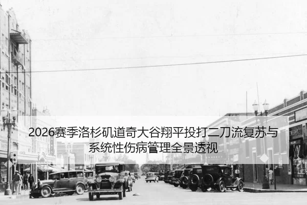 sai-ji-luo-shan-ji-dao-qi-da-gu-xiang-ping-tou-da-er-dao-liu-fu-su-yu-xi-tong-xing-shang-bing-guan-li-quan-jing-tou-shi-2-421.jpg
